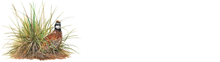 Wiregrass Asset Management logo