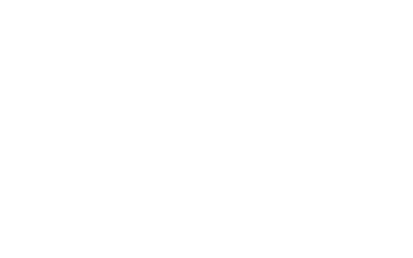 Birnam Wood Capital, LLC logo
