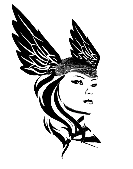 Valkyrie Private Wealth Management logo
