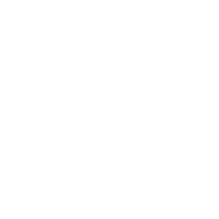 MOR Wealth Management, LLC logo
