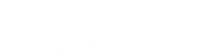 Noblebridge Wealth logo
