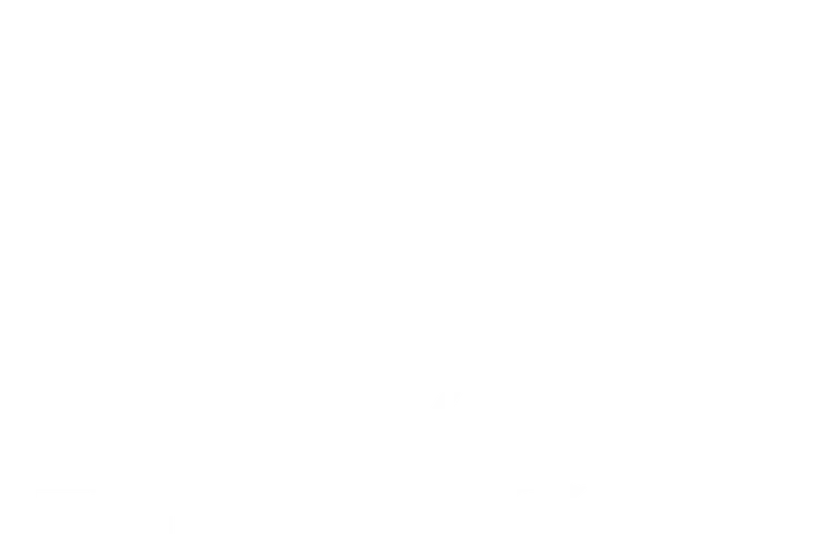 Villaire Financial, LLC logo