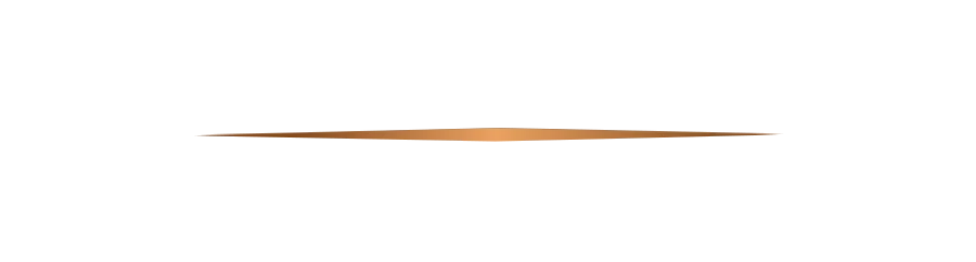 Private Wealth Advisors logo