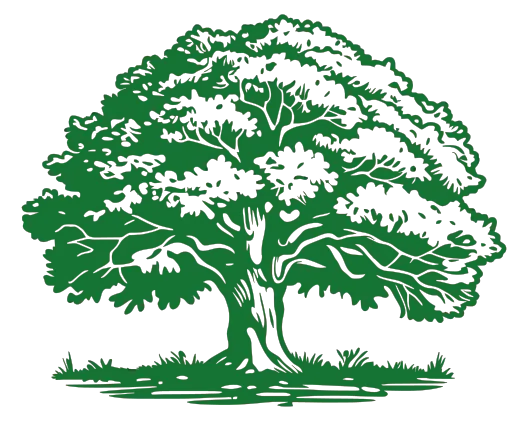 Wellspring Investing logo