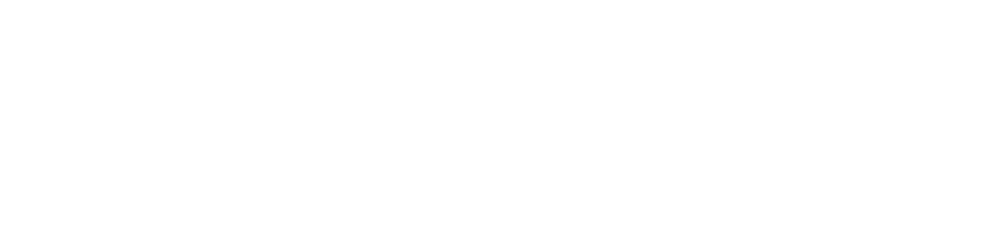 Smith & Howard Wealth Management, LLC logo