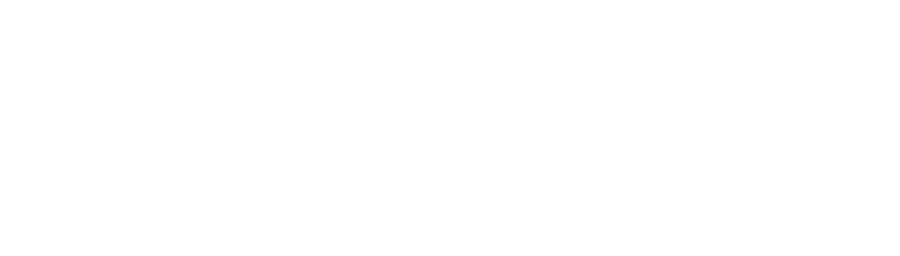 Southeast Asset Advisors, LLC logo