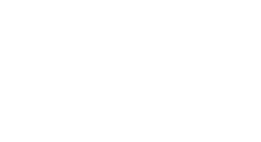 Noon Investment Management LLC logo