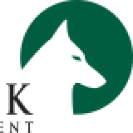 Lobnek Wealth Management Inc. logo