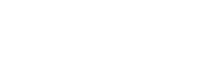 Loomis Capital Management logo