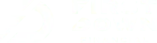 First Down Financial logo