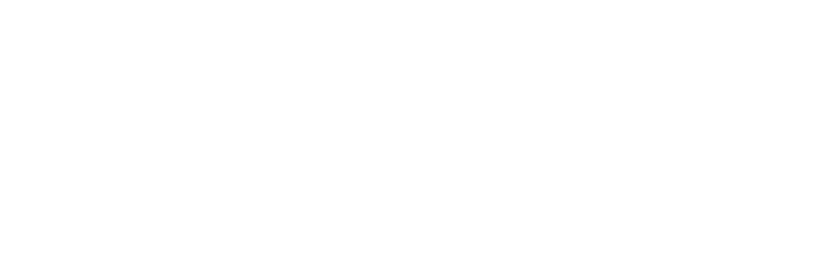 Elevated Asset Management LLC logo