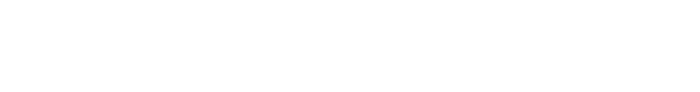 NEW Dimensions Investment Company logo