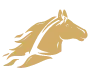 Lloyd Tevis Investments, LLC logo