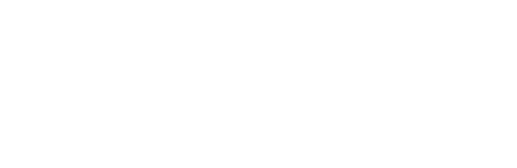 White Lighthouse Investment Management S.a.r.l. logo