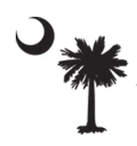 Palmetto Wealth Management, LLC logo