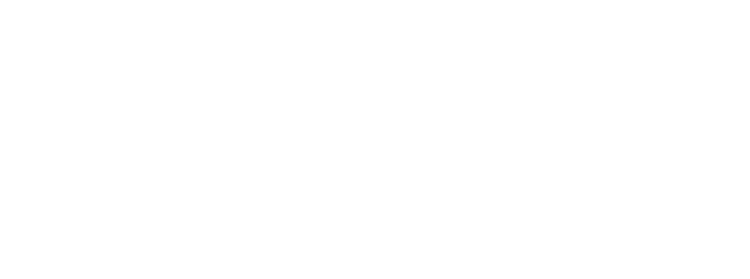 Tidehaven Wealth, LLC logo