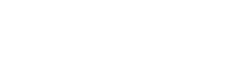 Tines Capital, LLC logo