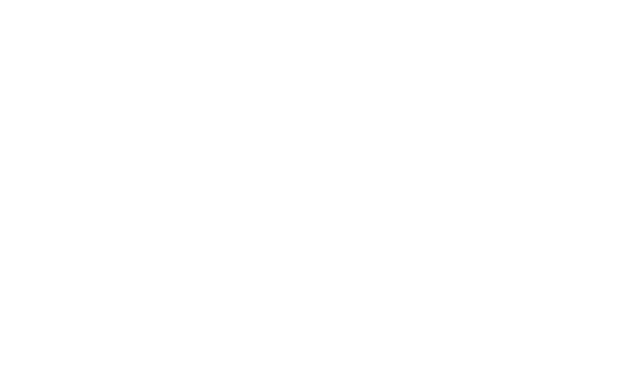 Solve Consulting Group, LLC logo