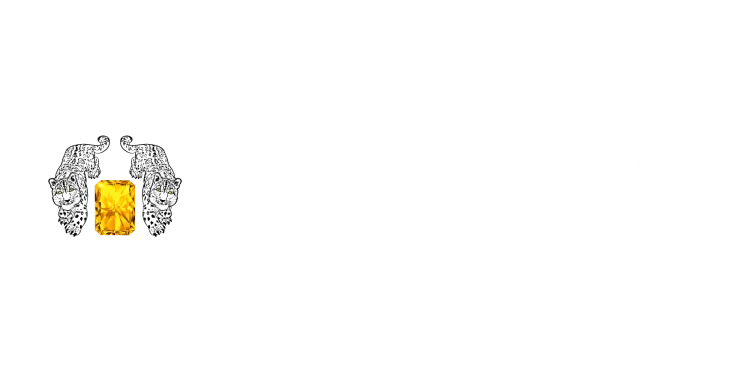 Wealthstone Private Wealth Management, LLC logo