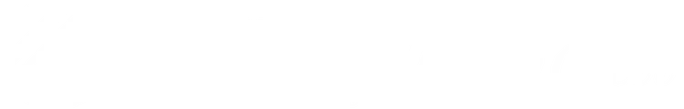 Paller Financial Services, Inc. logo
