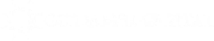Guidance Capital, Inc. logo