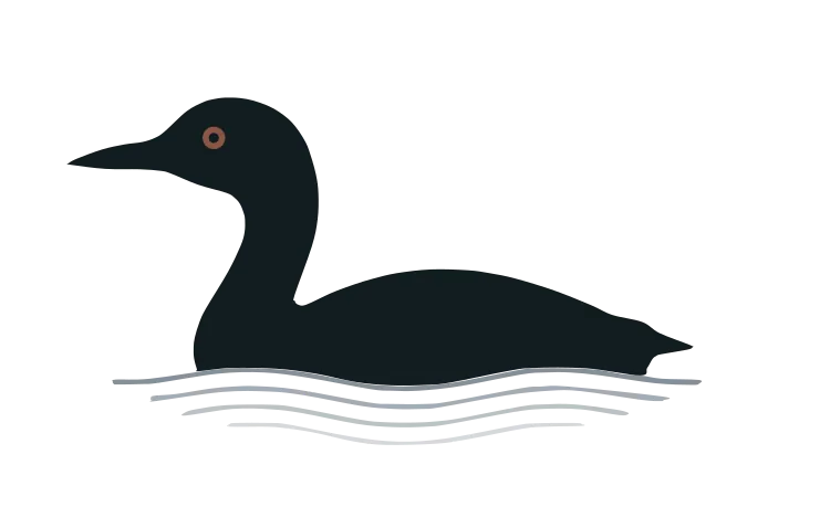 Squam Lakes Investment Management, LLC logo