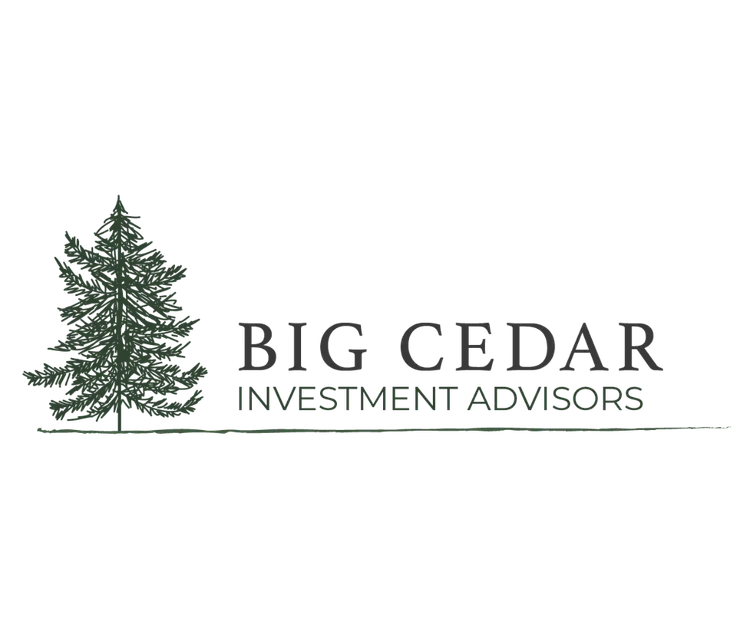 BIG Cedar Investment Advisors logo