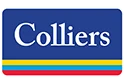 Colliers Securities LLC logo