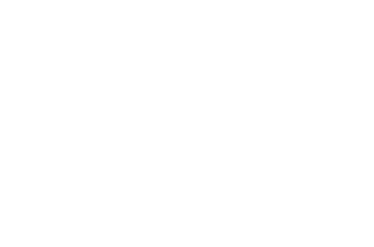 Trailhead Planners, LLC logo