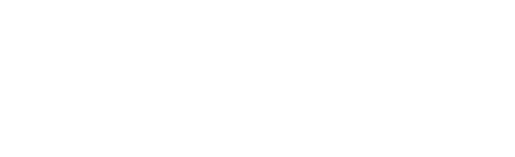 Wealth Renovators, LLC logo