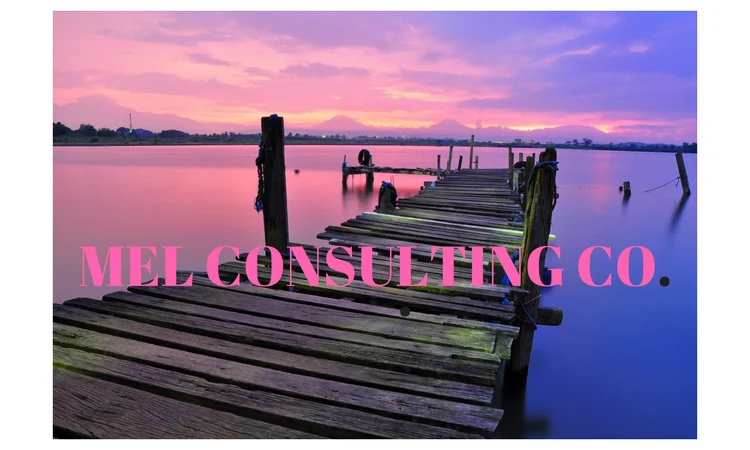 MEL Consulting Co. D/B/A MEL & CO logo