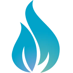 Fire Capital Management, LLC logo