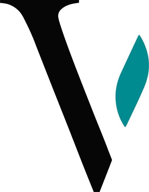 Viento Financial Group, LLC logo