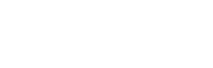Icon Wealth Partners logo
