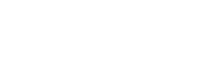 Humanize Wealth logo