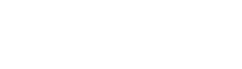 Bespoke Investment Group, LLC logo
