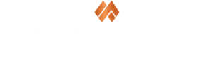 Main Street Investors, LLC logo
