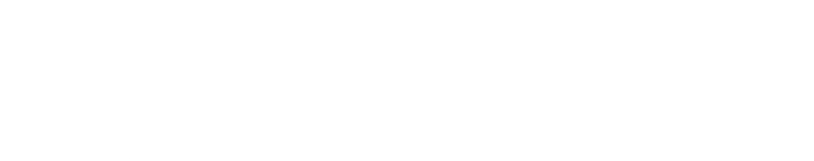 Academy Capital Management logo