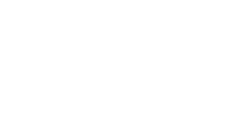 South County Wealth Planning logo