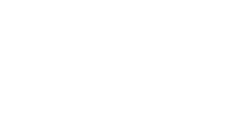 Concentric logo