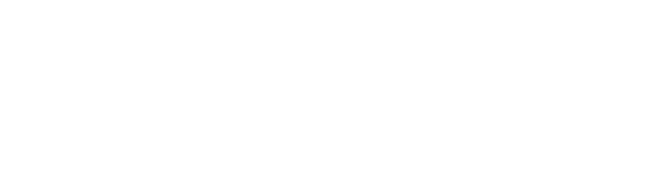 SFG Wealth Management logo