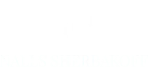 THE Nalls Sherbakoff Group, LLC logo