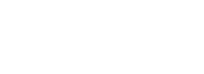 Fairlane Investment Advisors INC logo