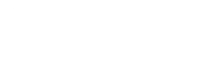 Rubey & Rust Capital Management, LLC logo