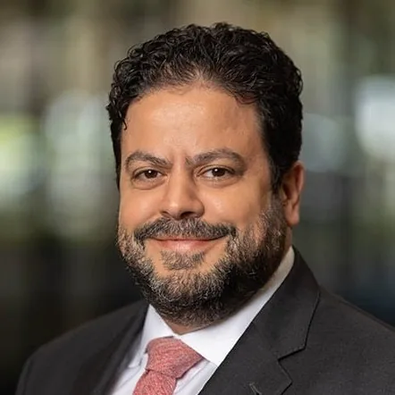 P DAVID SOLIMAN