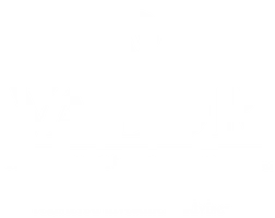Valor Investment Management logo